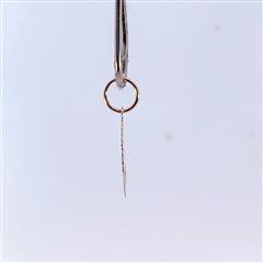 10K Yellow Gold 0.3g